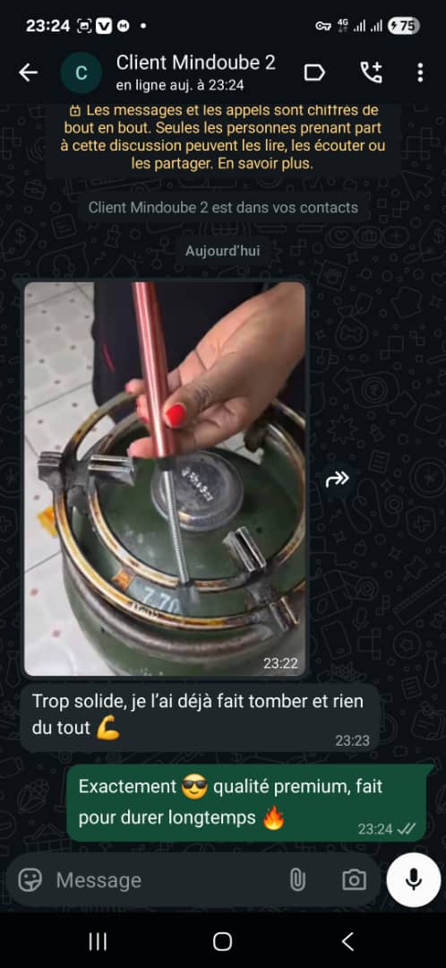 LUMEX™ : ALUME GAZ ELECTRIQUE RECHARGEABLE. ECONOMISEZ SUR 10ANS